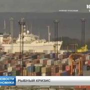 Заблокированы поставки рыбы и морепродуктов через Санкт-Петербург